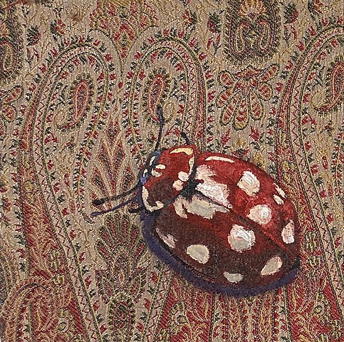 Red Spotted Ladybug
