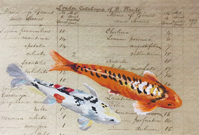  painted on paper- Darwin's List of Species
