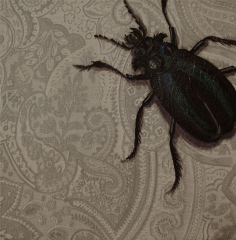 Black Beetle 