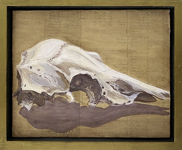 Fawn Skull
