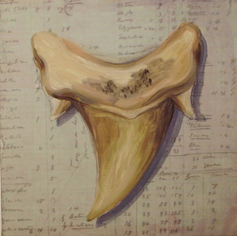 Shark's Tooth