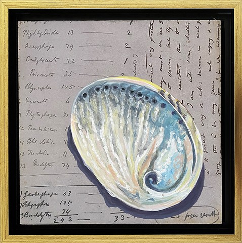 Abalone Shell
