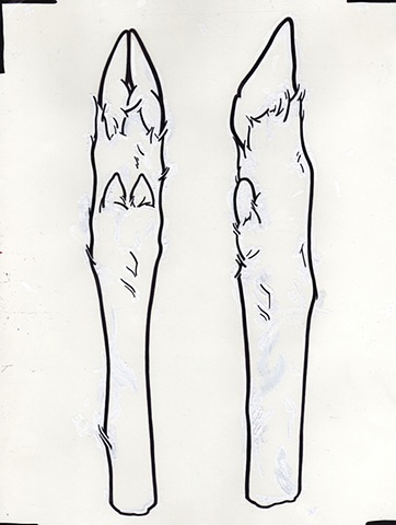 Untitled (Deer Hooves)
Sharpie and Paint Marker on Paper
8.5 x 11 Inches

Preparatory Drawing