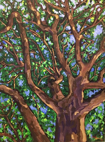 tree wellesley trail oak chelsea sebastian arbor painting blue green nature art color