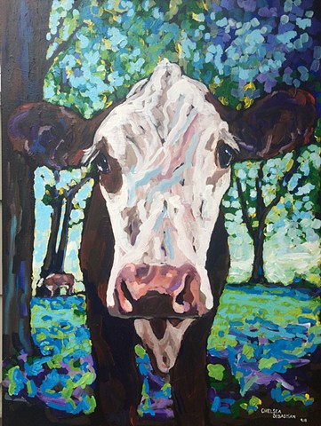 Chelsea sebastian art painting colorful cow face heifer Wellesley Farm animal 