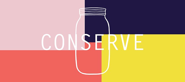 CONSERVE Newsletter - visual identity 
