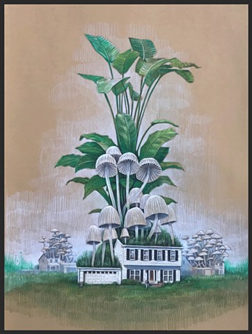 House Plant 10