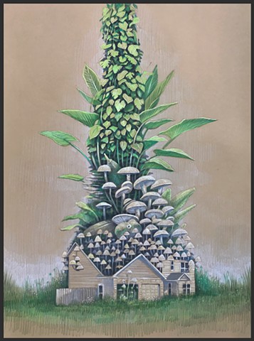 House Plant 08