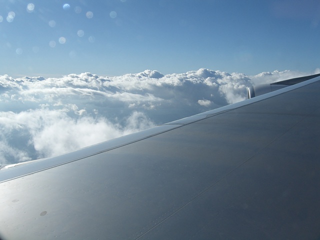 On the Wing #2