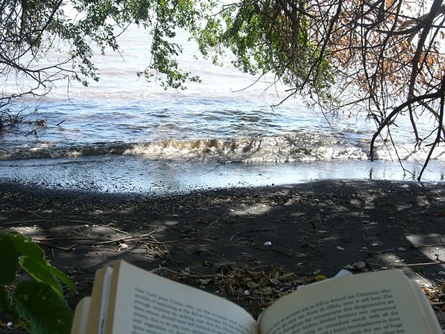 Books and Sunburn on the Beach