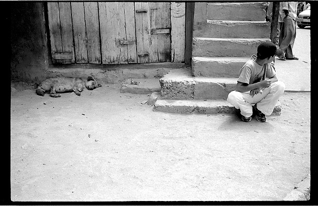 Boy and Stray Dog in Leh