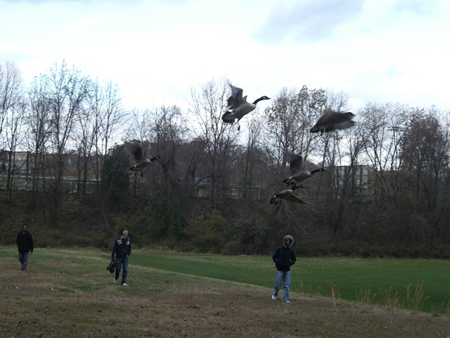 Winter Flight