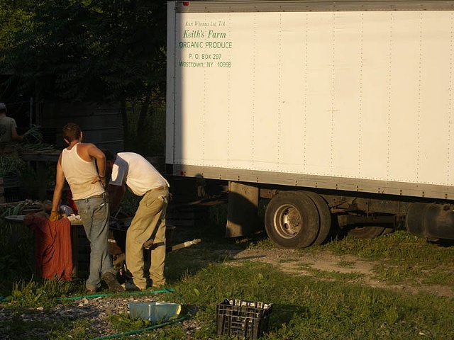 Preparing for Market