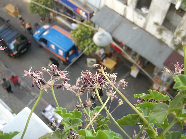 Beyoglu Hostel