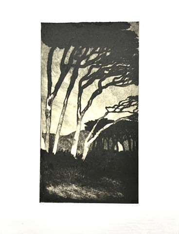 Imbrunire, drypoint with chine colle