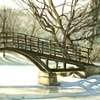 Tom Patterson Bridge in Winter, Stratford Ontario

