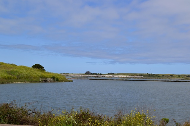 Elkhorn Slough Estuary