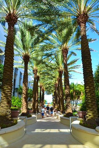 South Beach / Miami Beach