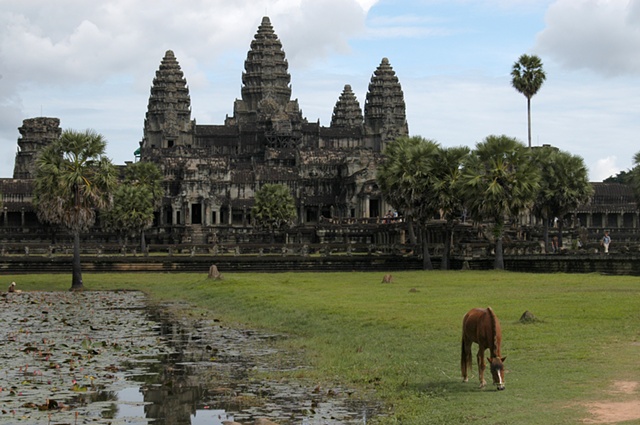 Angkor Wat & Horse