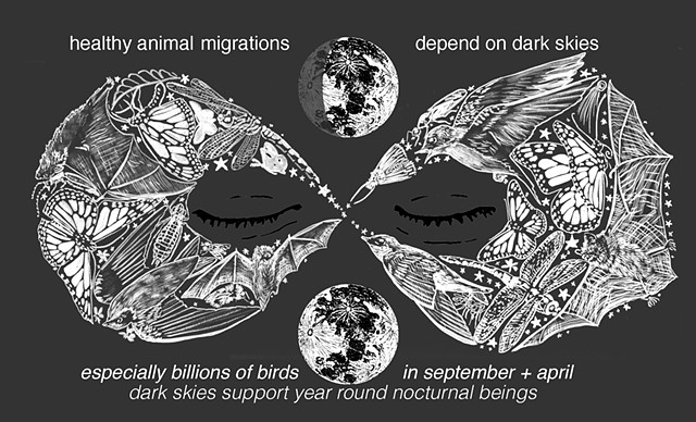 Dark Skies Zine pages 5 & 6