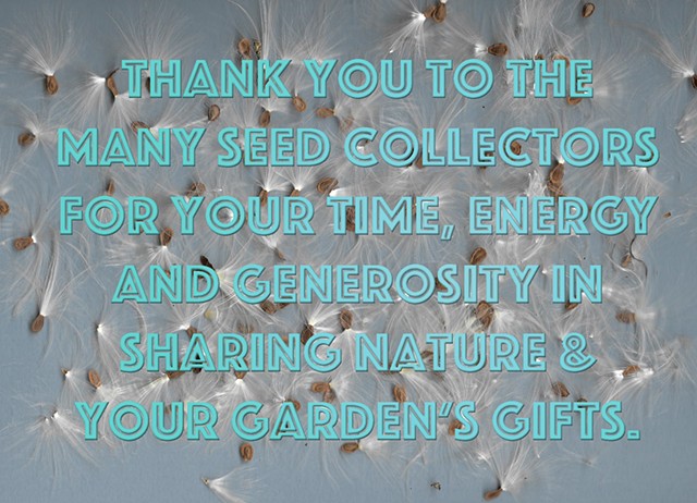 Thank you to the Seed Collectors & Sorters!