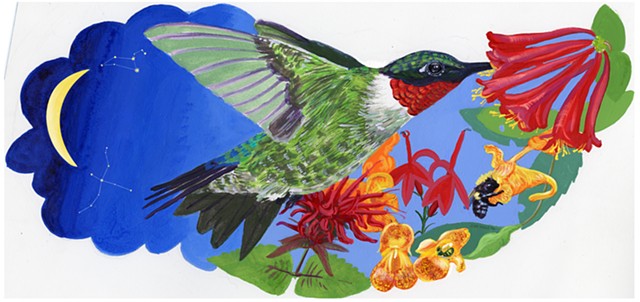Ruby Throated Hummingbird