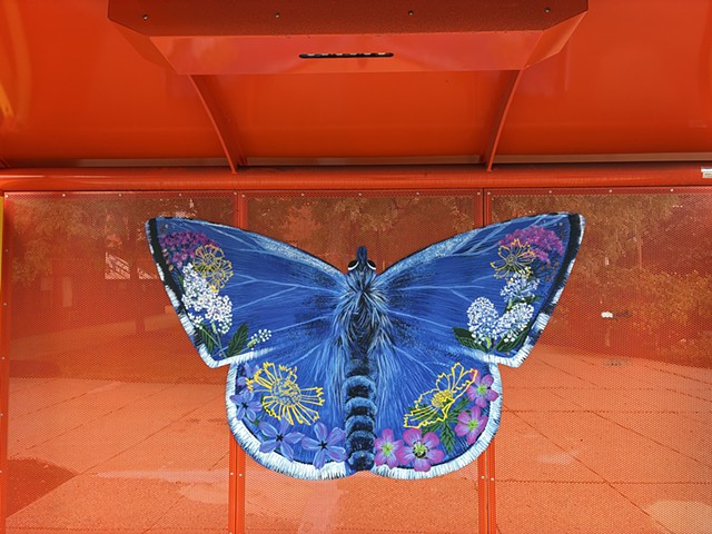 Installation image