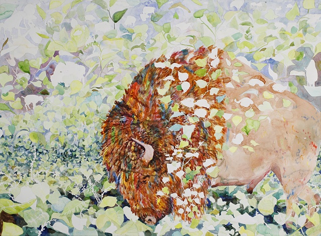 Watercolor painting on paper of an American Bison surrounded by knotweed, an invasive species by jenn houle