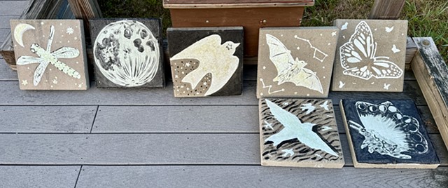 Dark Skies lecture and glow-in-the-dark garden stepping stone workshop