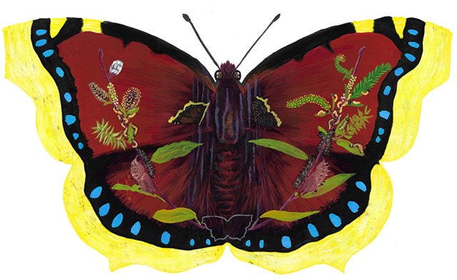 Mourning Cloak