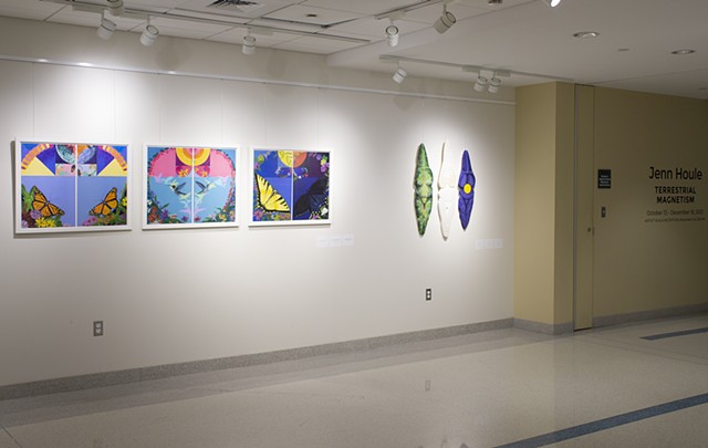 Terrestrial Magnetism, solo exhibit at Fitchburg State University