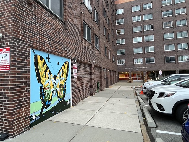 Swallowtail Butterfly Mural in collaboration with Newburyport Housing Authority residents