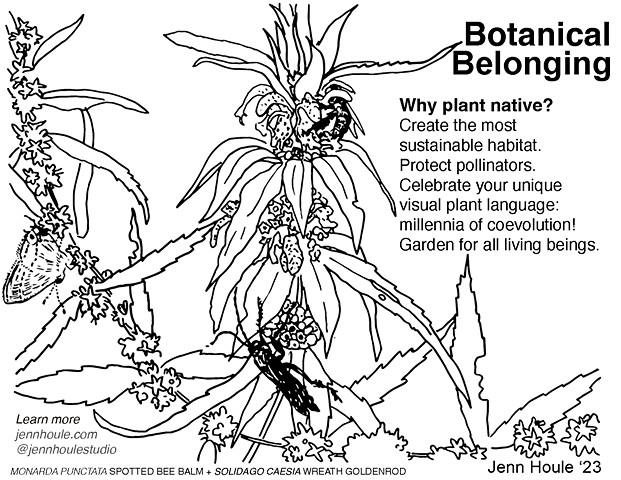 Botanical Belonging - Online Zine Page 1