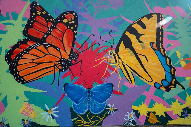 Native Plant + Pollinator Mural