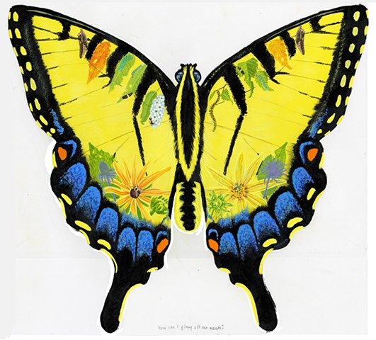 Eastern Tiger Swallowtail
