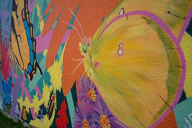 Native Plant + Pollinator Mural