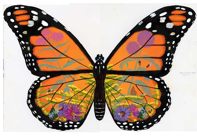 Monarch Butterfly