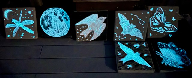 Dark Skies lecture and glow-in-the-dark garden stepping stone workshop