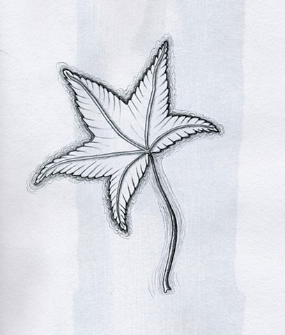 TREE: Star Leaf