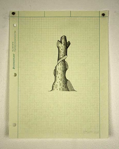 Tree, drawing, pencil