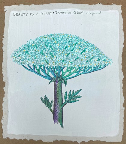 Beauty is a Beast:Invasive Giant Hogweed