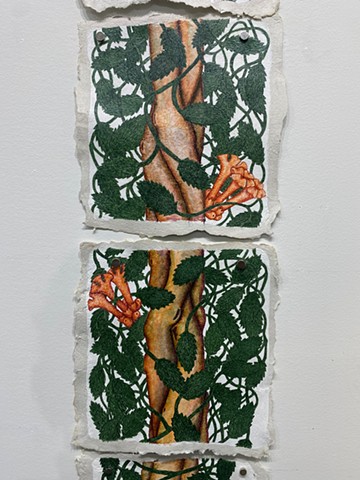 DETAIL Beauty is a Beast: Trumpet Vine (Large) 