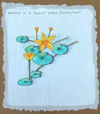 Beauty is a Beast: Invasive Yellow Floating Heart