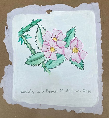 Beauty is a Beast: Invasive Multiflora Rose