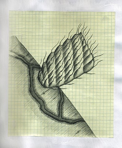 pencil, drawing, paper