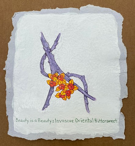 Beauty is a Beast: Invasive Oriental Bittersweet