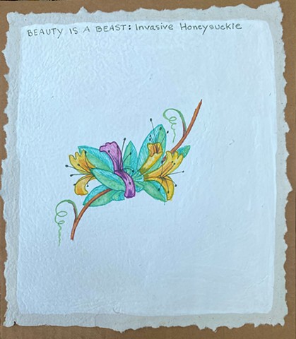 Beauty is a Beast: Invasive Japanese Honeysuckle
