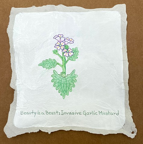 Beauty is a Beast: Invasive Garlic Mustard