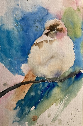 All Fluffed Up