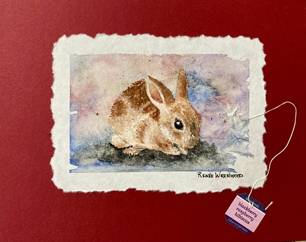 Hunny Bunny